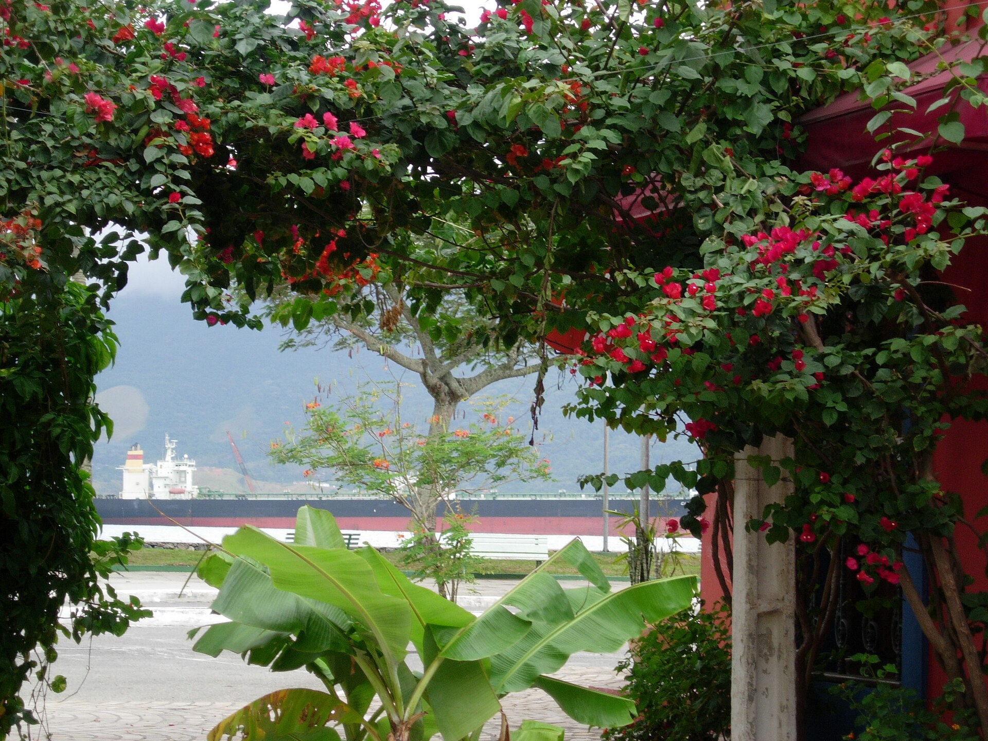 São Sebastião - SP - Brasil, petroleiro ancorado no porto (oil tanker at Sao Sebastiao port) - panoramio.jpg